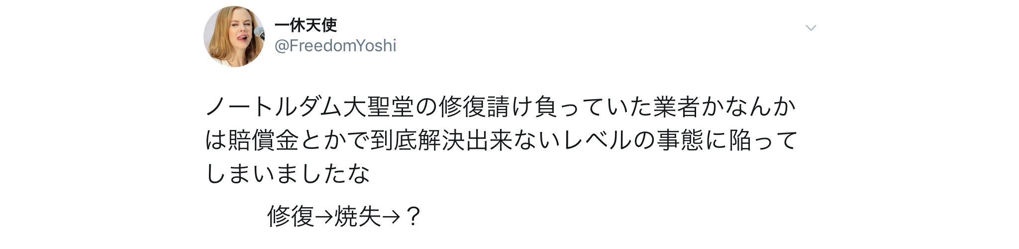 ノートルダム大聖堂の火災のレベルは修復不可能？