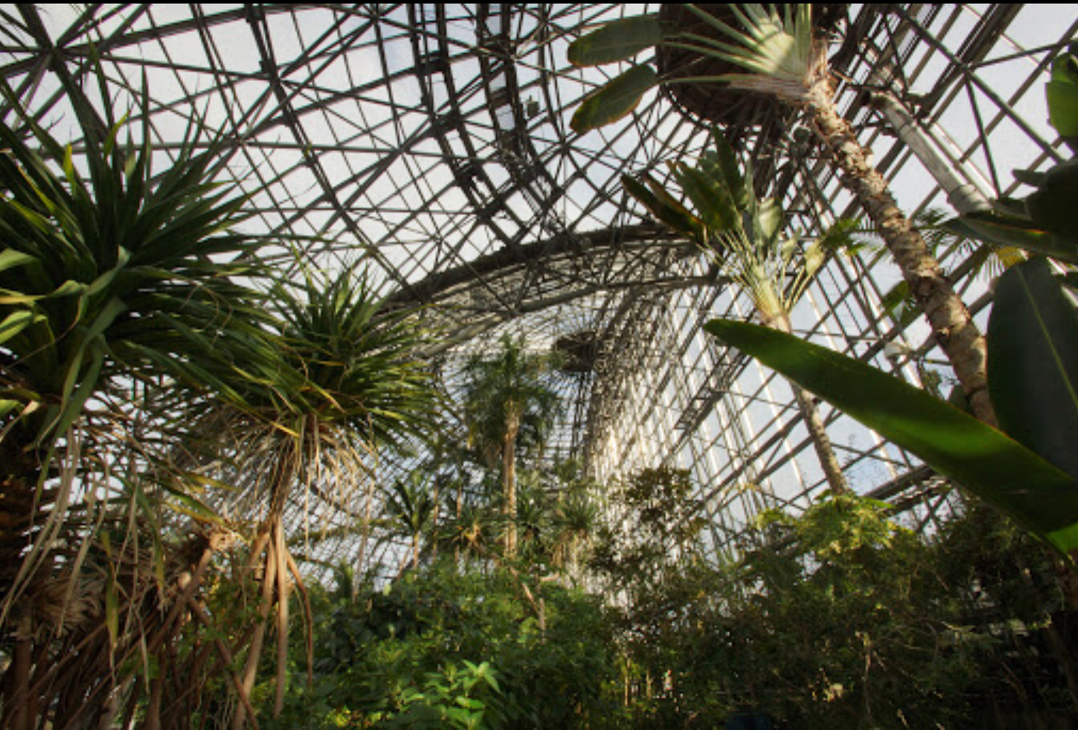 夢の島熱帯植物館