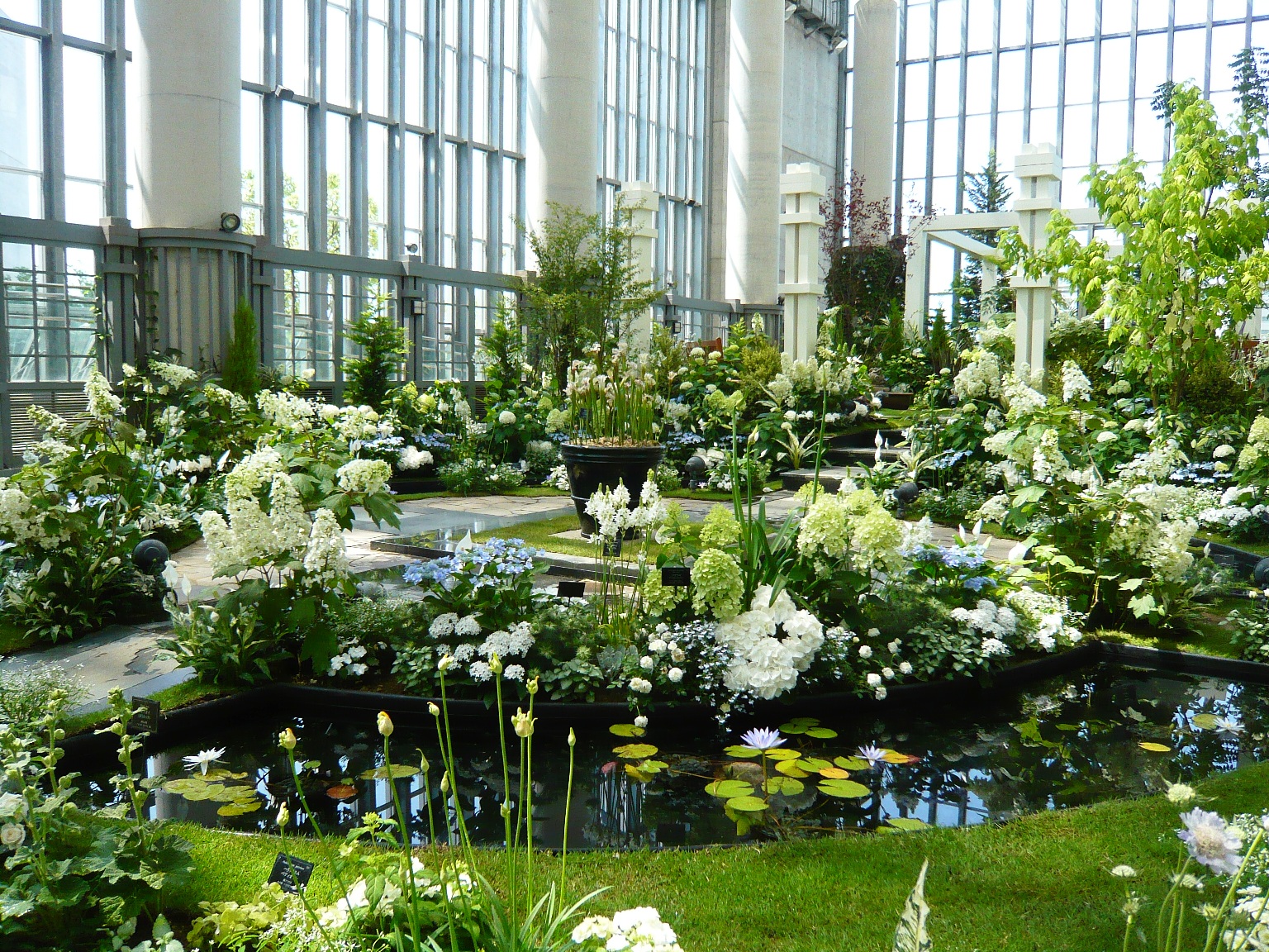 原作者朱戸アオお勧めの植物園フラワーガーデン小田原