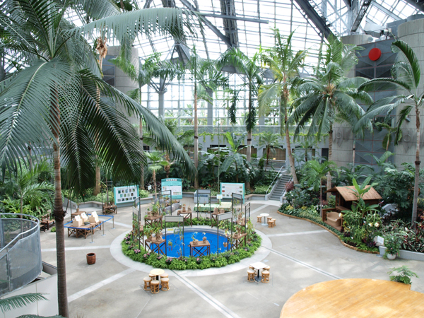 咲くやこの花館の植物園