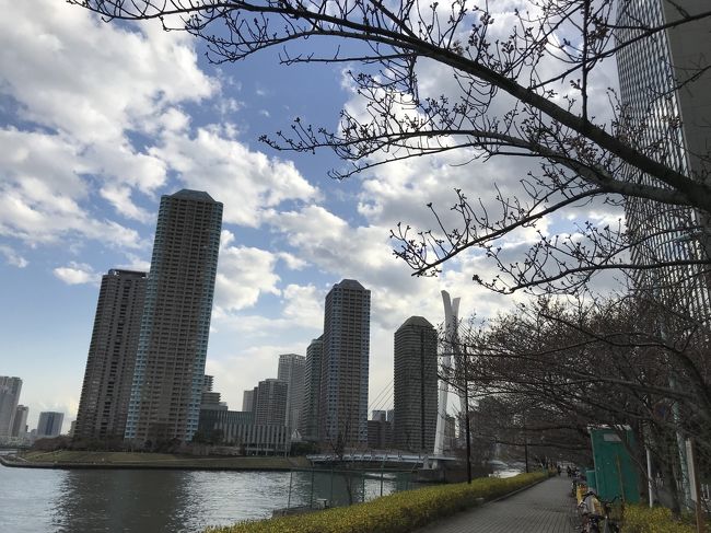 みずがめ座エータ流星群を見る場所に隅田川テラスもいいかもしれない