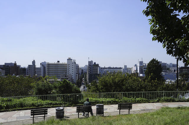 みずがめ座エータ流星群を見るには西郷山公園は見やすい場所