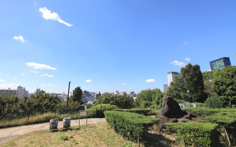 ペルセウス座流星群スポットで穴場の西郷山公園