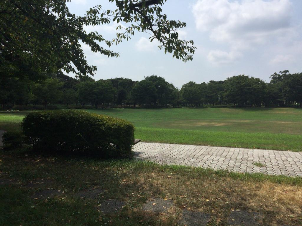 夢の島公園でペルセウス座流星群をみよう