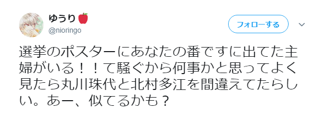 丸川珠代と木村多江が似ている