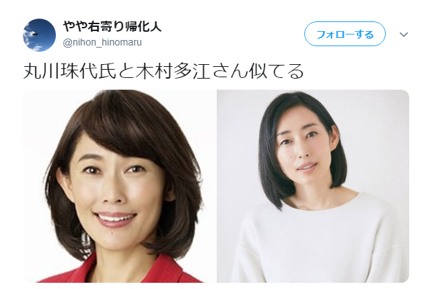 丸川珠代と木村多江が似ているという声もある