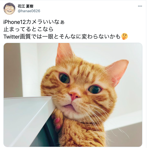 【声優】花江夏樹の猫写真がプロ級！どこのカメラで撮っているの？