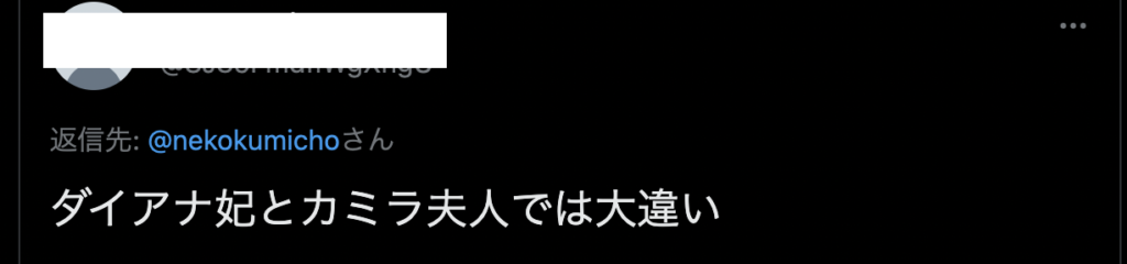 カミラ夫人が不人気なのはどうして？あのスキャンダルが大きな原因に！